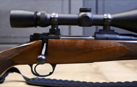 Bolt Action
