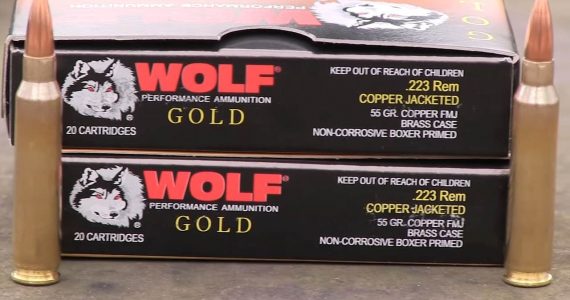 Wolf Gold .223 Ammo